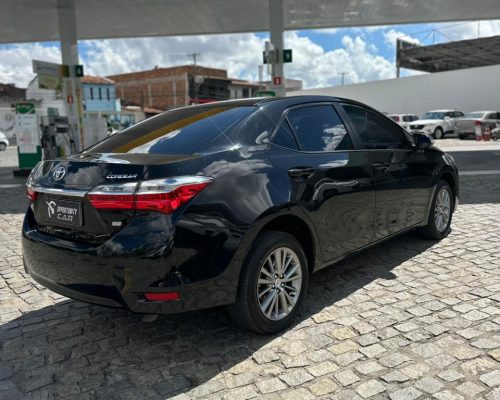 WhatsApp Image 2026-03-23 at 14.24.17 (1)