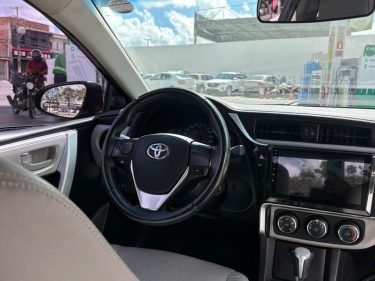 WhatsApp Image 2026-03-23 at 14.24.20