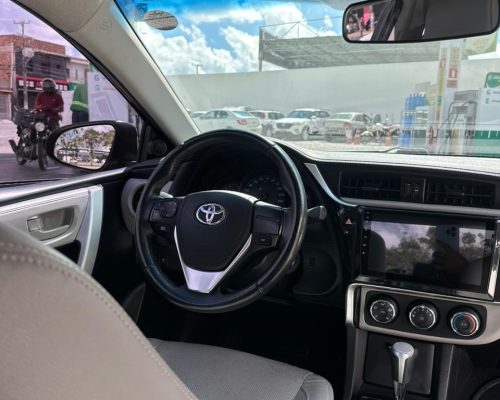 WhatsApp Image 2026-03-23 at 14.24.20